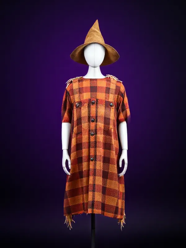 DIY Scarecrow Flannel costume preview